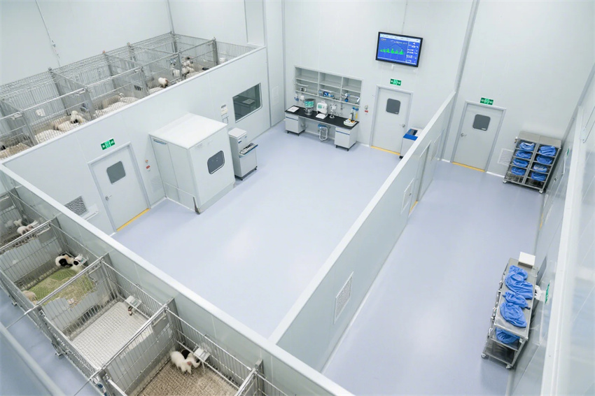 安慶實驗室裝修